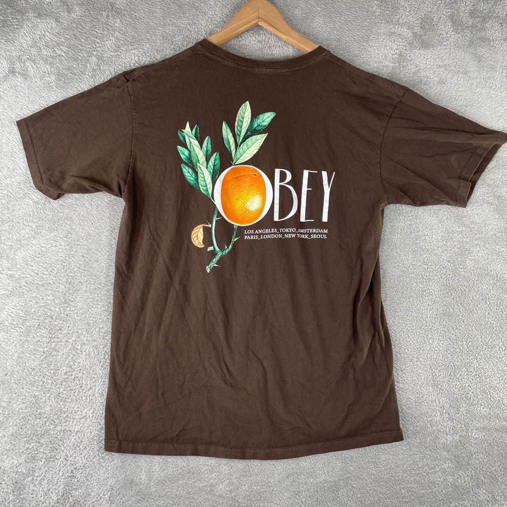 Obey Shirt Mens Large Brown Orange Fruit Graphic Streetwear Skate Y2K Tee